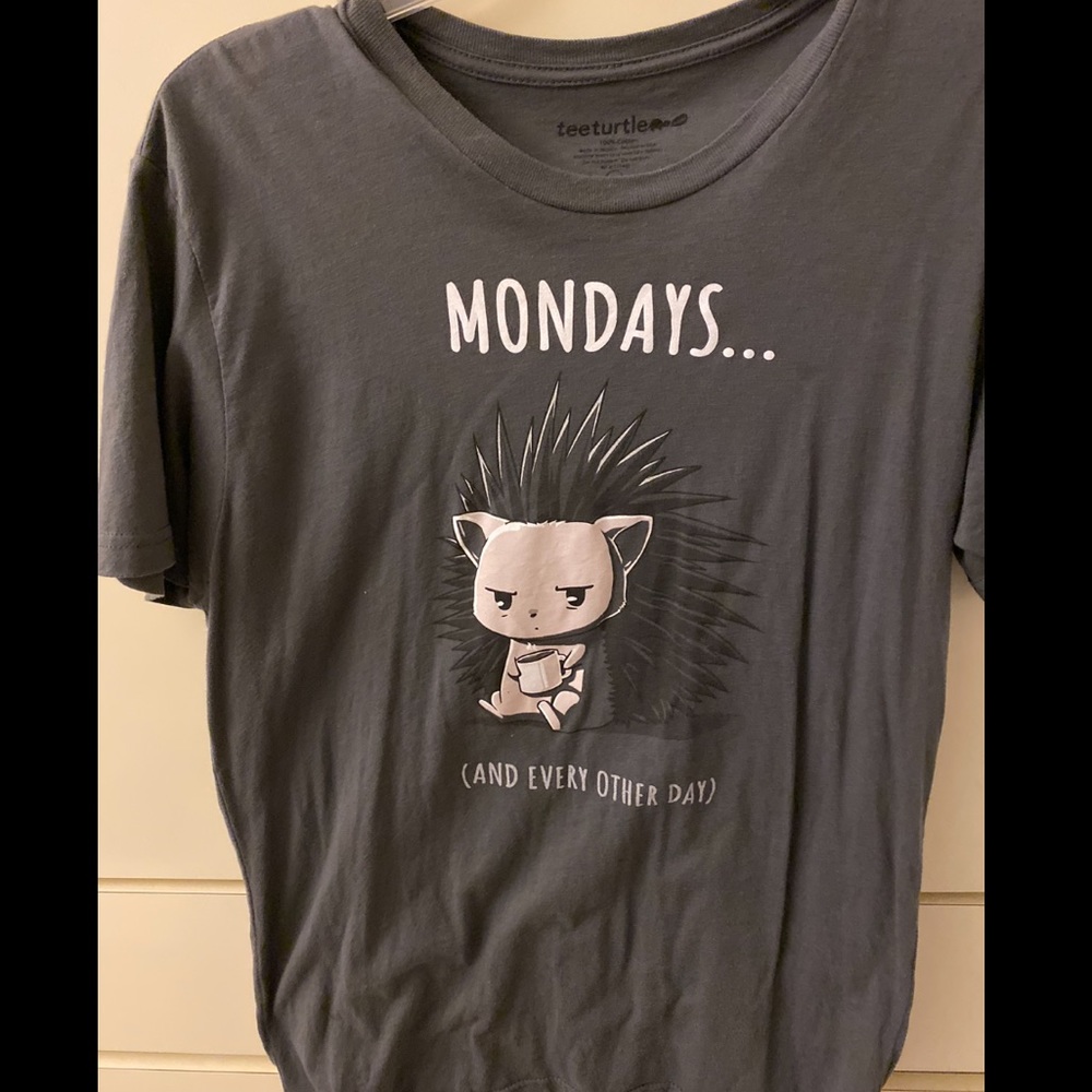 Teeturtle Tshirt (medium)